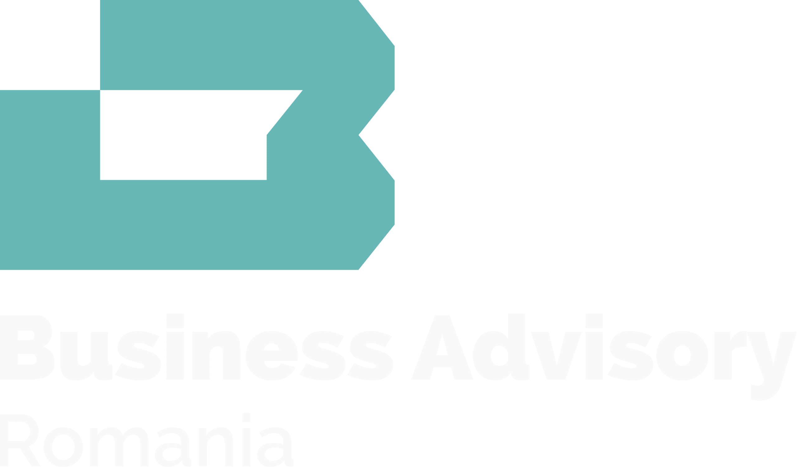 BAR-Business Advisory Romania-3